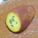kogane
