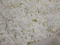 米粒の大きさは、１／２から１／４くらいがよいでしょう
